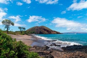 Lee más sobre el artículo ¿Puedo Viajar a Hawaii sin Papeles?